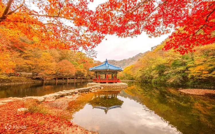 Naejangsan National Park, South Korea