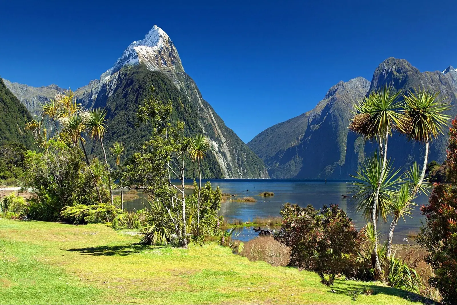Milford Track, Нова Зеландия