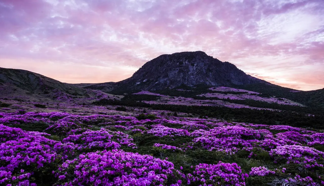 Jeju Island, South Korea
