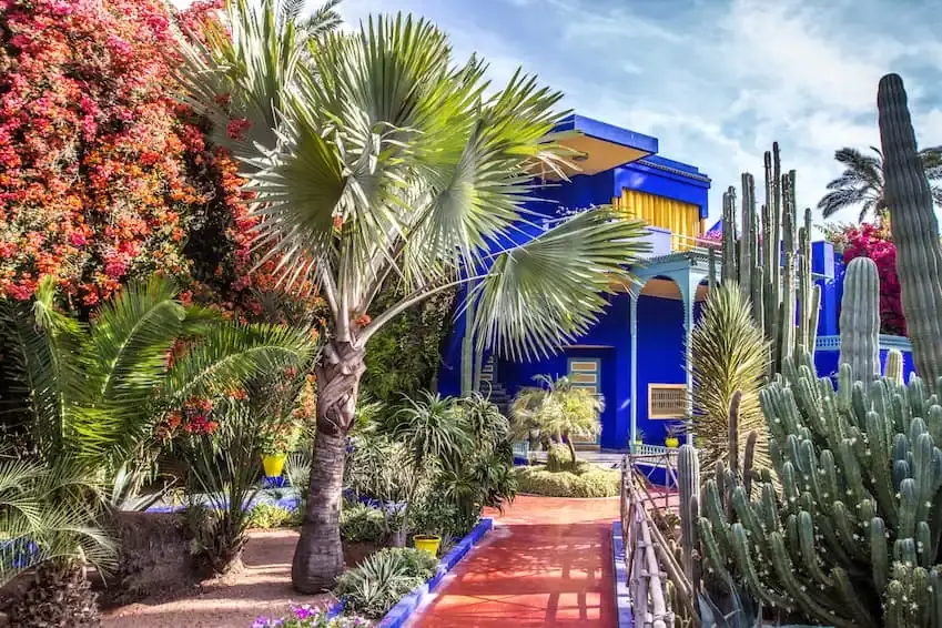 Majorelle Garden, Morocco