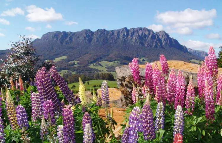 Tasmania, Australia