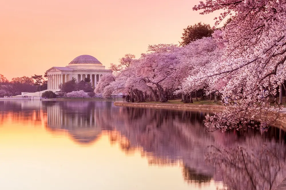Washington D.C., USA