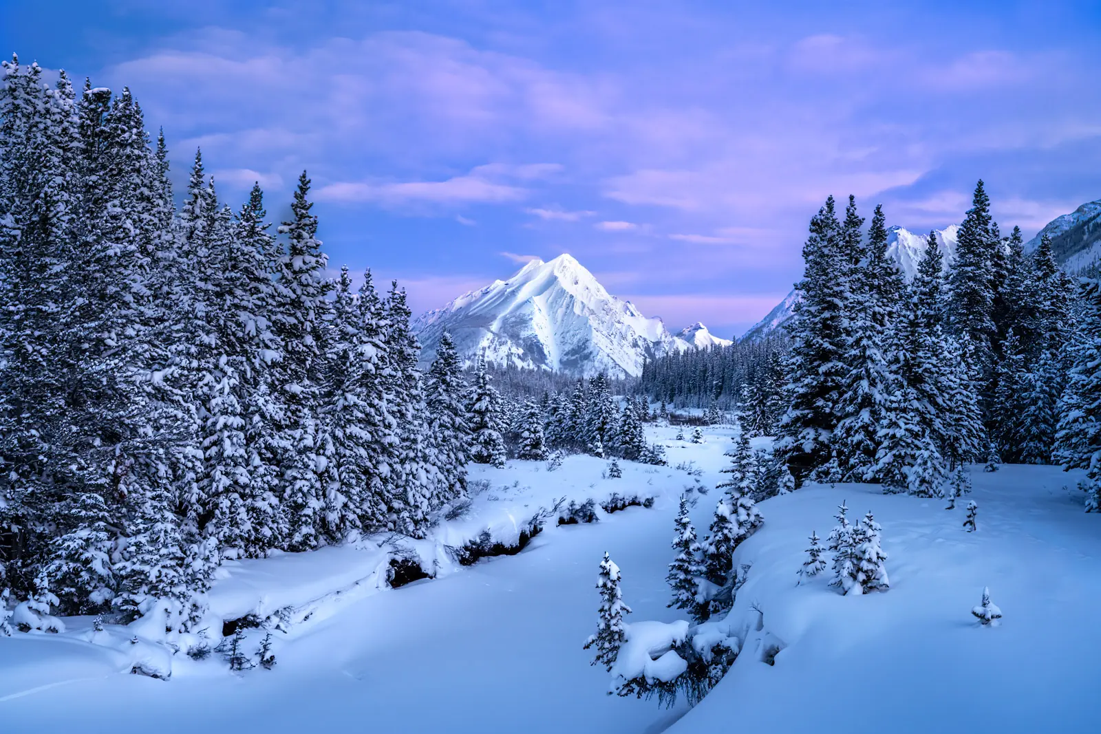 Colorado Rockies, USA