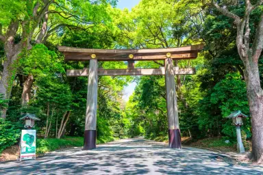 Image of Meiji Shrine