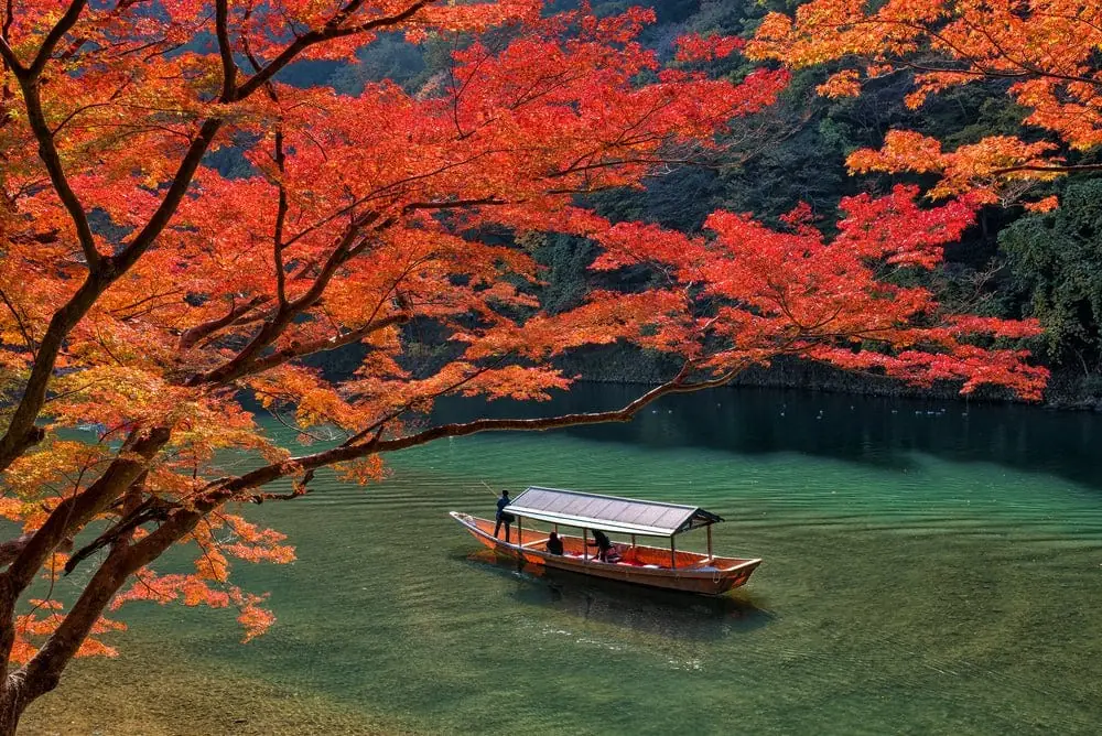 Tokyo Autumn Leaves