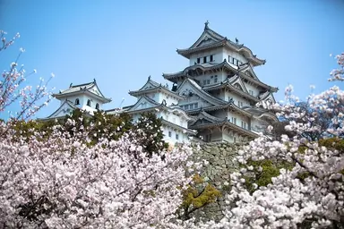Image of Tokyo Imperial Palace