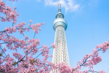 Image of Tokyo Skytree