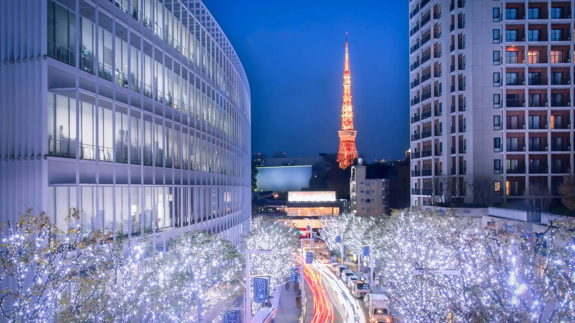 Tokyo Winter Illuminations