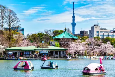 Image of Ueno Park & Shrines