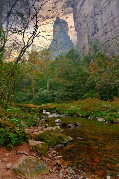 Image of Golden Whip Stream trail
