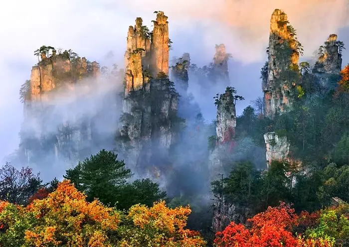 Autumn Foliage Among Zhangjiajie Pillars